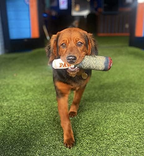 PAW - Doggie Joint